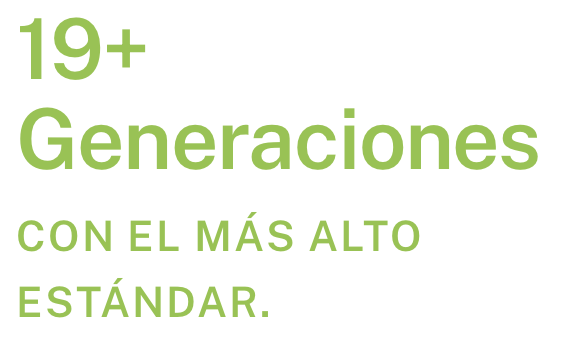 Captura de Pantalla 2021-02-09 a la(s) 16.52.31