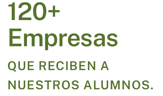 Captura de Pantalla 2021-02-09 a la(s) 16.52.35