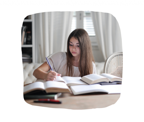 LICENCIATURA Diseños redes sociales (3) (1)